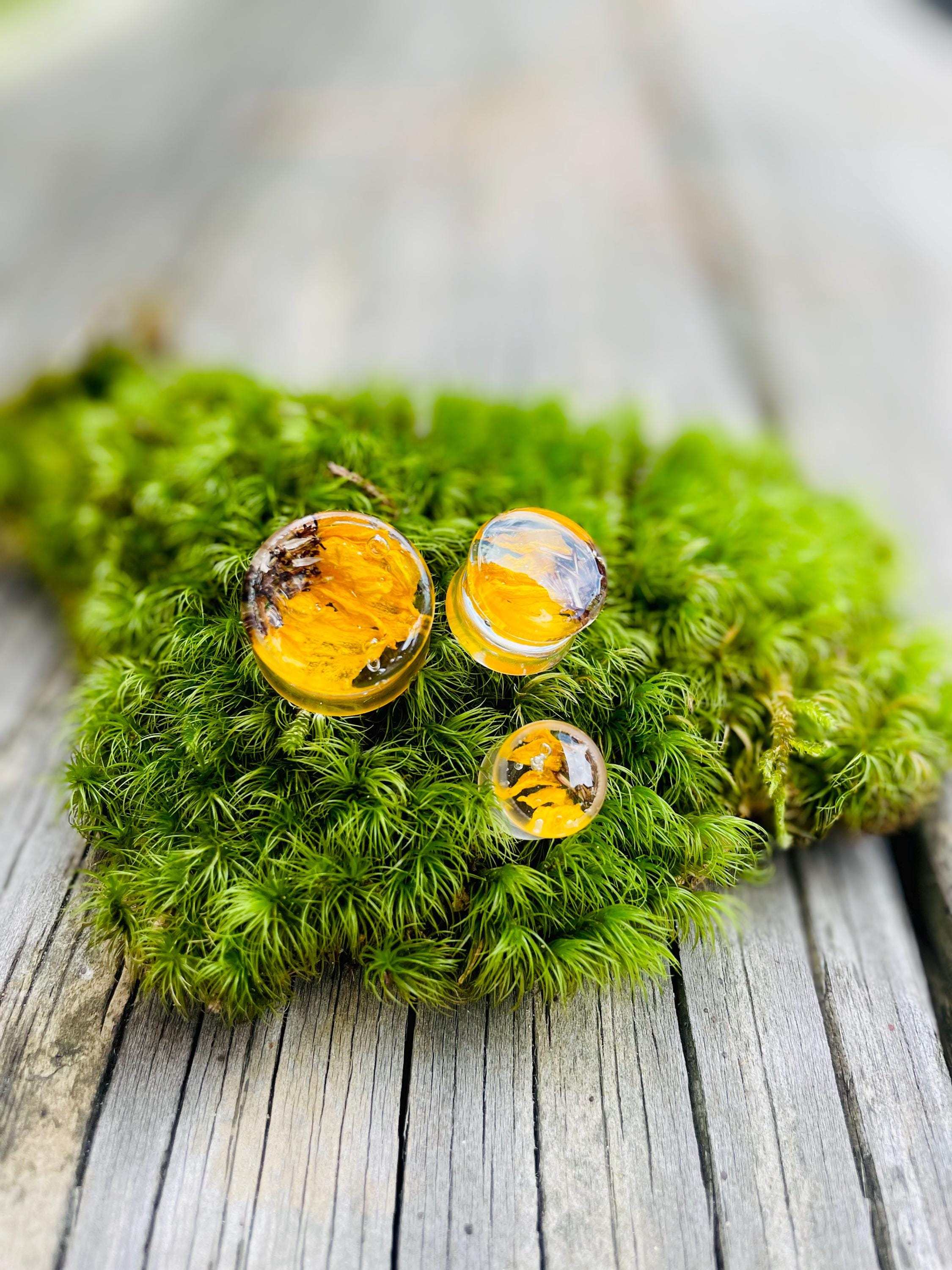 Real Sunflower Ear Plugs: Yellow Double Flared Gauges | Custom Birth Month Flower Nature Resin Plug Piercing