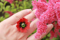 Valentine gift flower ring, red poppy jewelry, big floral rings quirky, nature jewelry for women, Birthday gifts for wife, present for mom