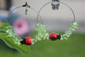Custom Birthstone earrings for wife, Peridot hoop earrings with ladybug butterfly charm, birthday jewelry gift green summer earrings crystal