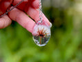 Custom Birthstone Dandelion Necklace: Resin Boho March Birth Month Flower Jewelry