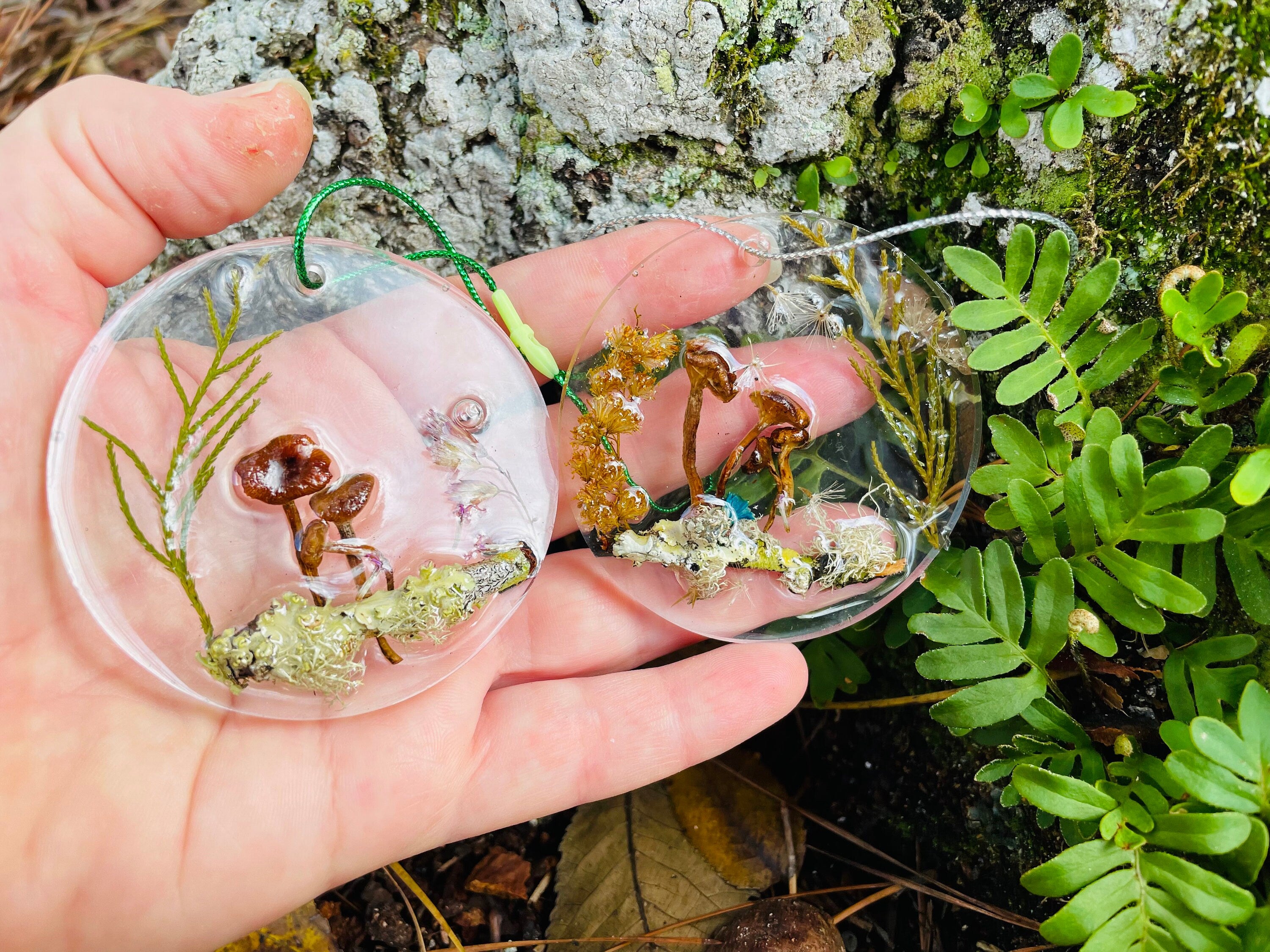 Personalized Real Mushroom Family Sun Catcher Christmas ornaments Woodland Mushroom Ornament Unique Holiday gift Baby shower Forest ornament