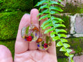 Mushroom Dangle Earrings: Real Acorn, Fern & Ladybug - Woodland Jewelry