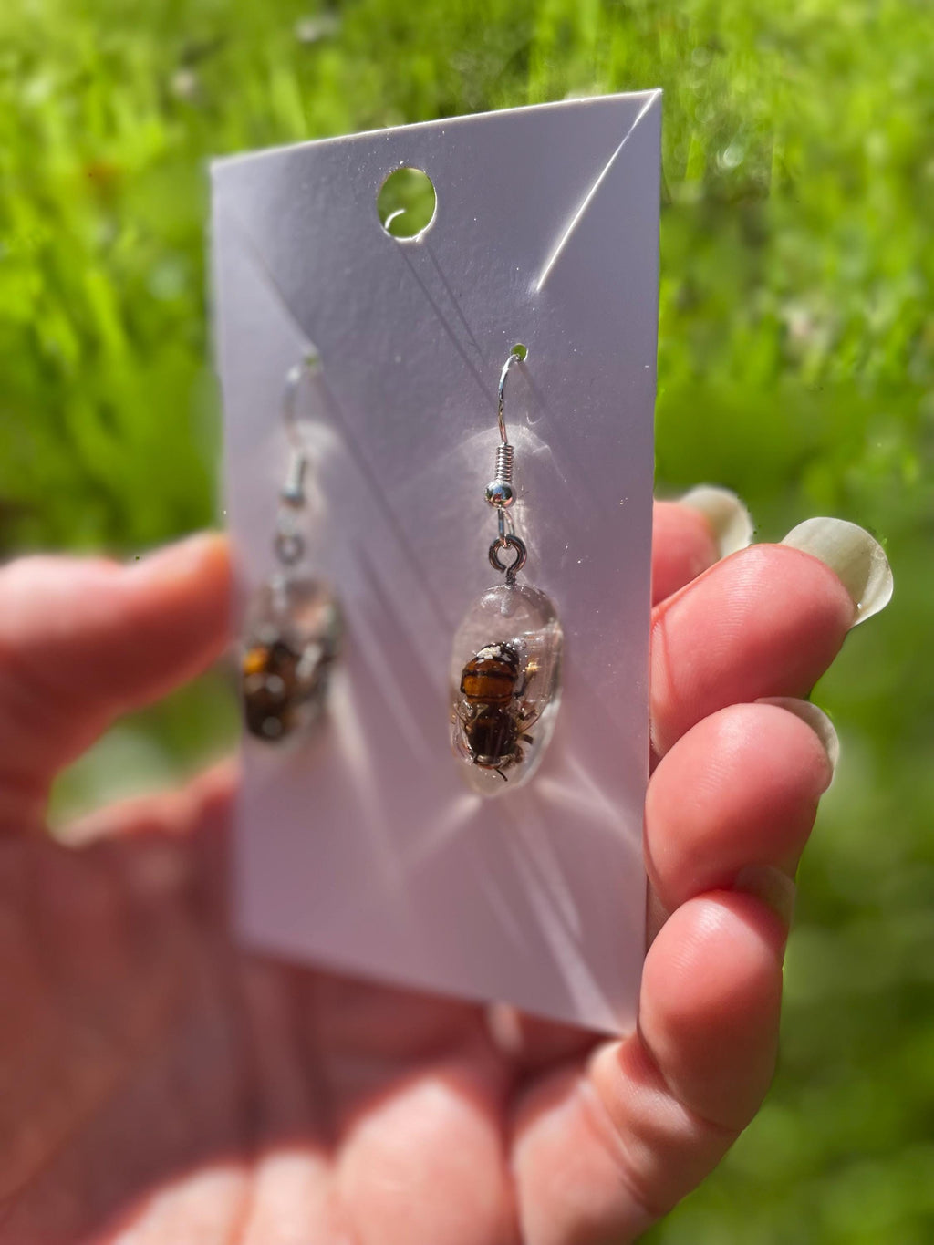 Real Bee Mens Dangle Earrings Resin: Minimalist Insect Jewelry Gift for him Ethically Preserved