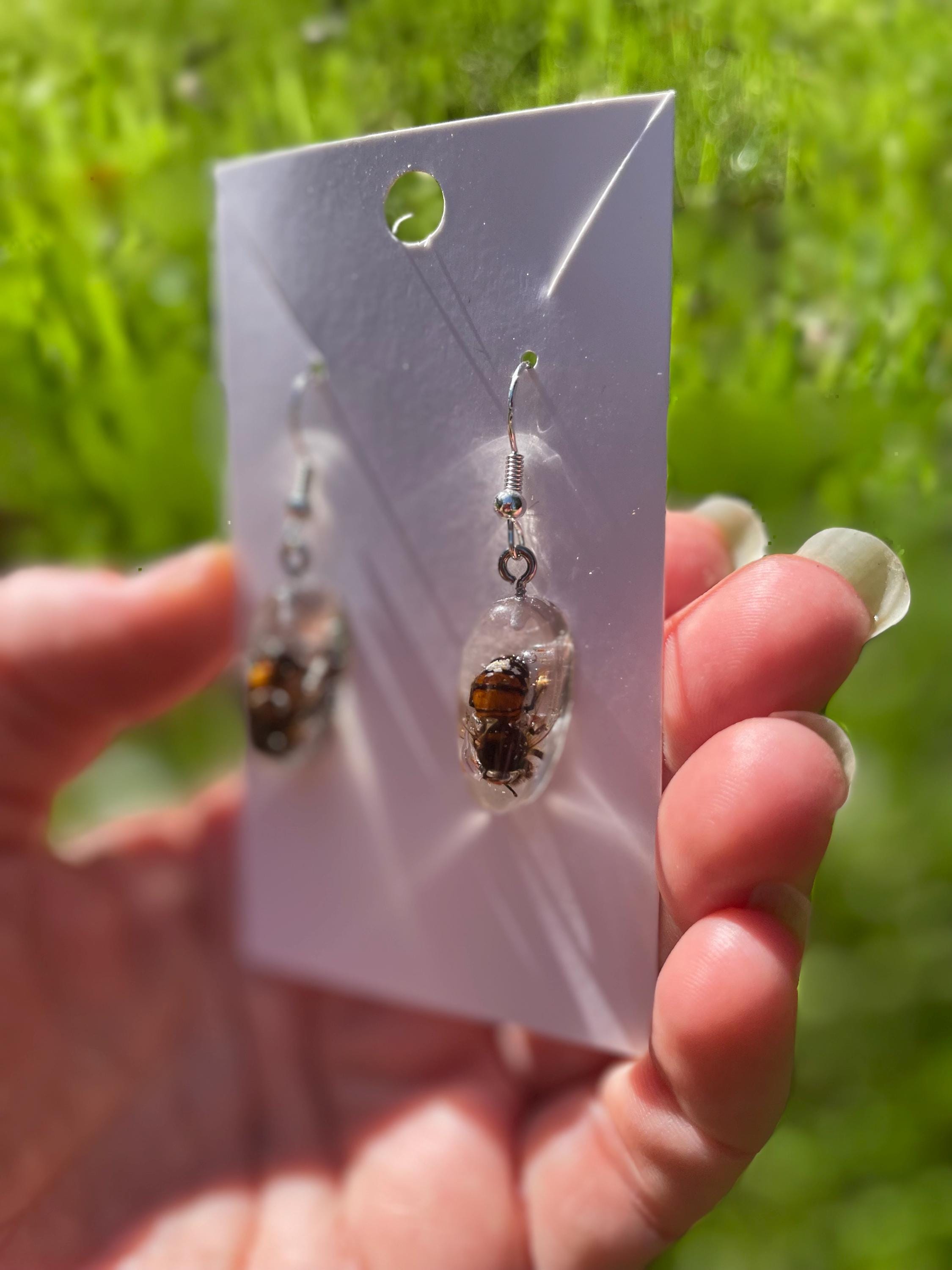 Real Bee Mens Dangle Earrings Resin: Minimalist Insect Jewelry Gift for him Ethically Preserved