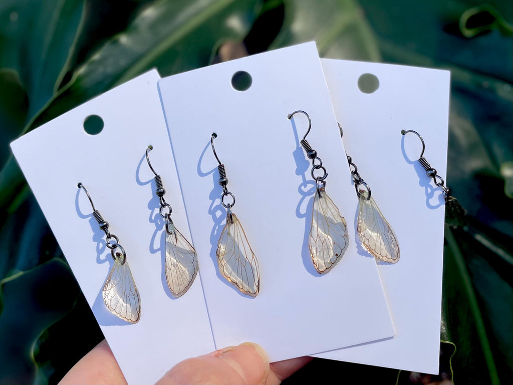 Real Cicada Wing Earrings Gold or Silver: Birthstone Personalized Insect Animal Jewelry Resin