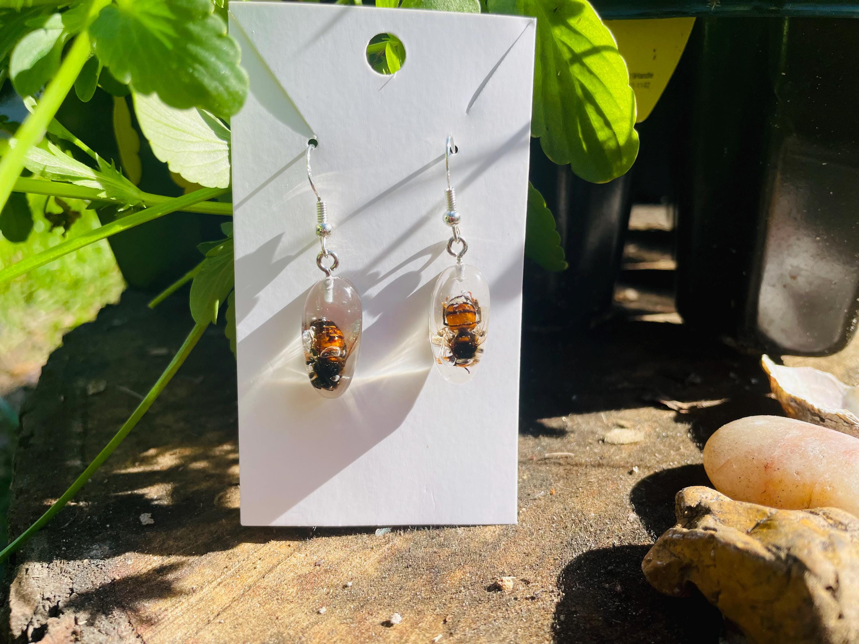 Real Bee Mens Dangle Earrings Resin: Minimalist Insect Jewelry Gift for him Ethically Preserved