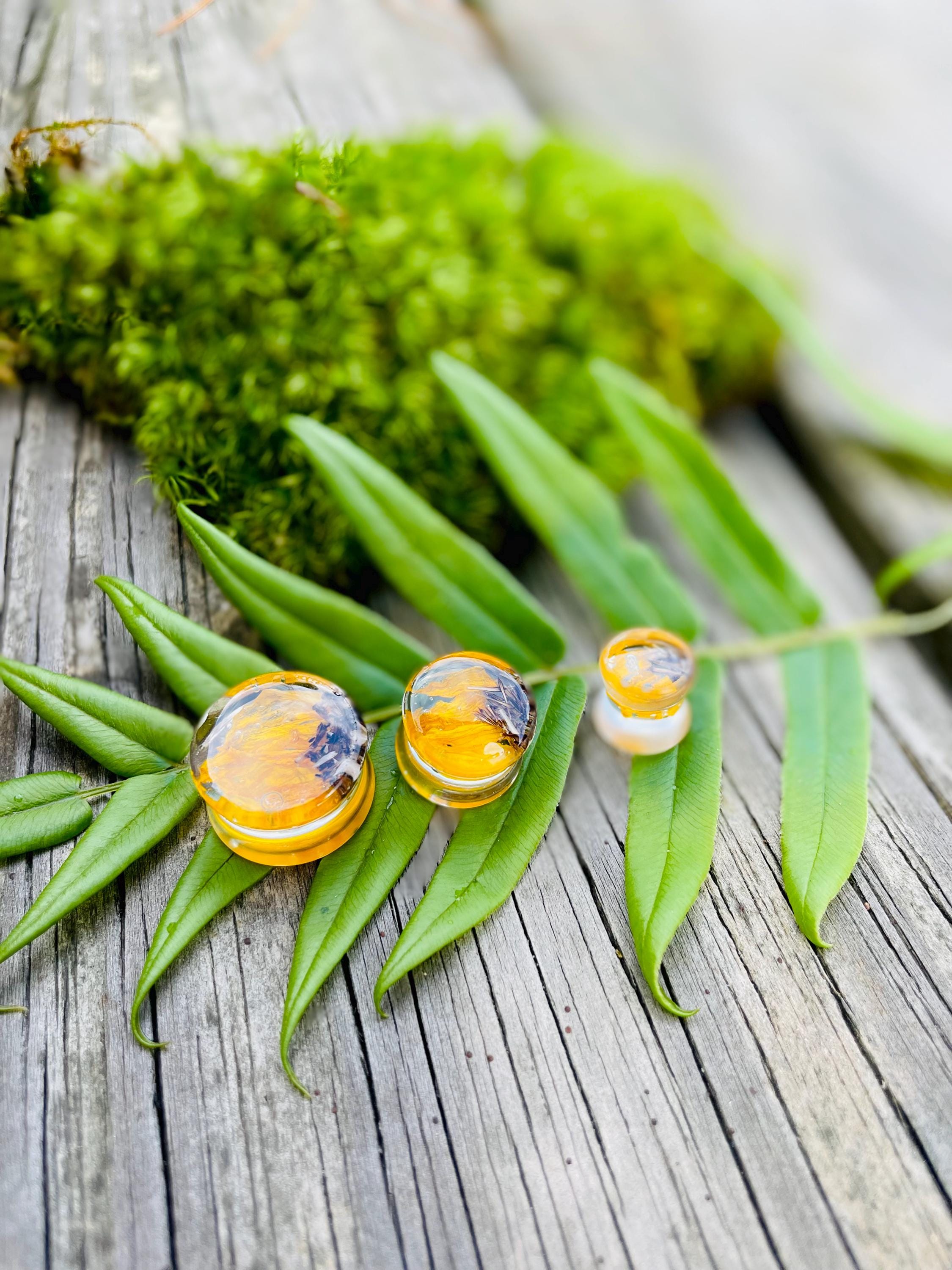 Real Sunflower Ear Plugs: Yellow Double Flared Gauges | Custom Birth Month Flower Nature Resin Plug Piercing
