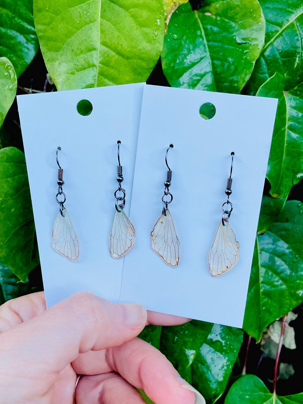 Real Cicada Wing Earrings Gold or Silver: Birthstone Personalized Insect Animal Jewelry Resin