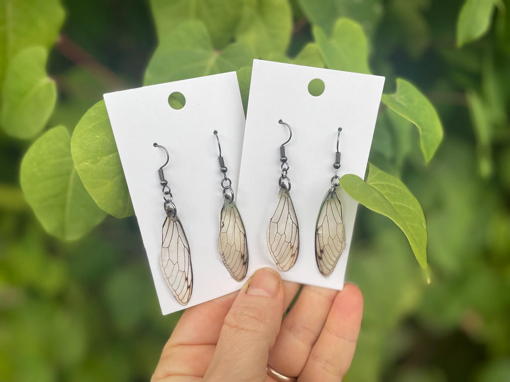 Real Cicada Wing Earrings Gold or Silver: Birthstone Personalized Insect Animal Jewelry Resin