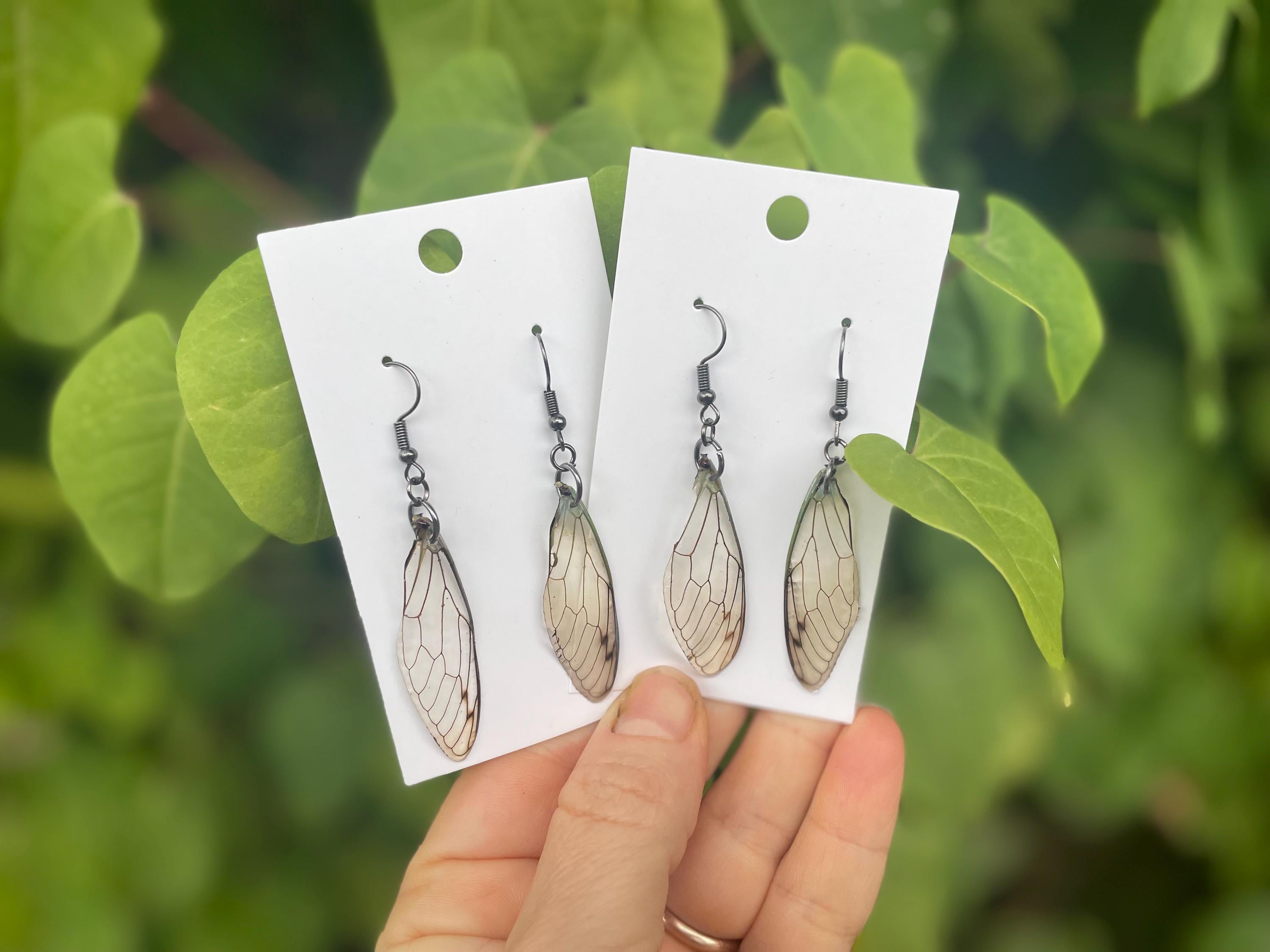 Real Cicada Wing Earrings Gold or Silver: Birthstone Personalized Insect Animal Jewelry Resin