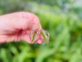 Lily of the Valley Earrings: Gold Teardrop Resin May Birth Flower