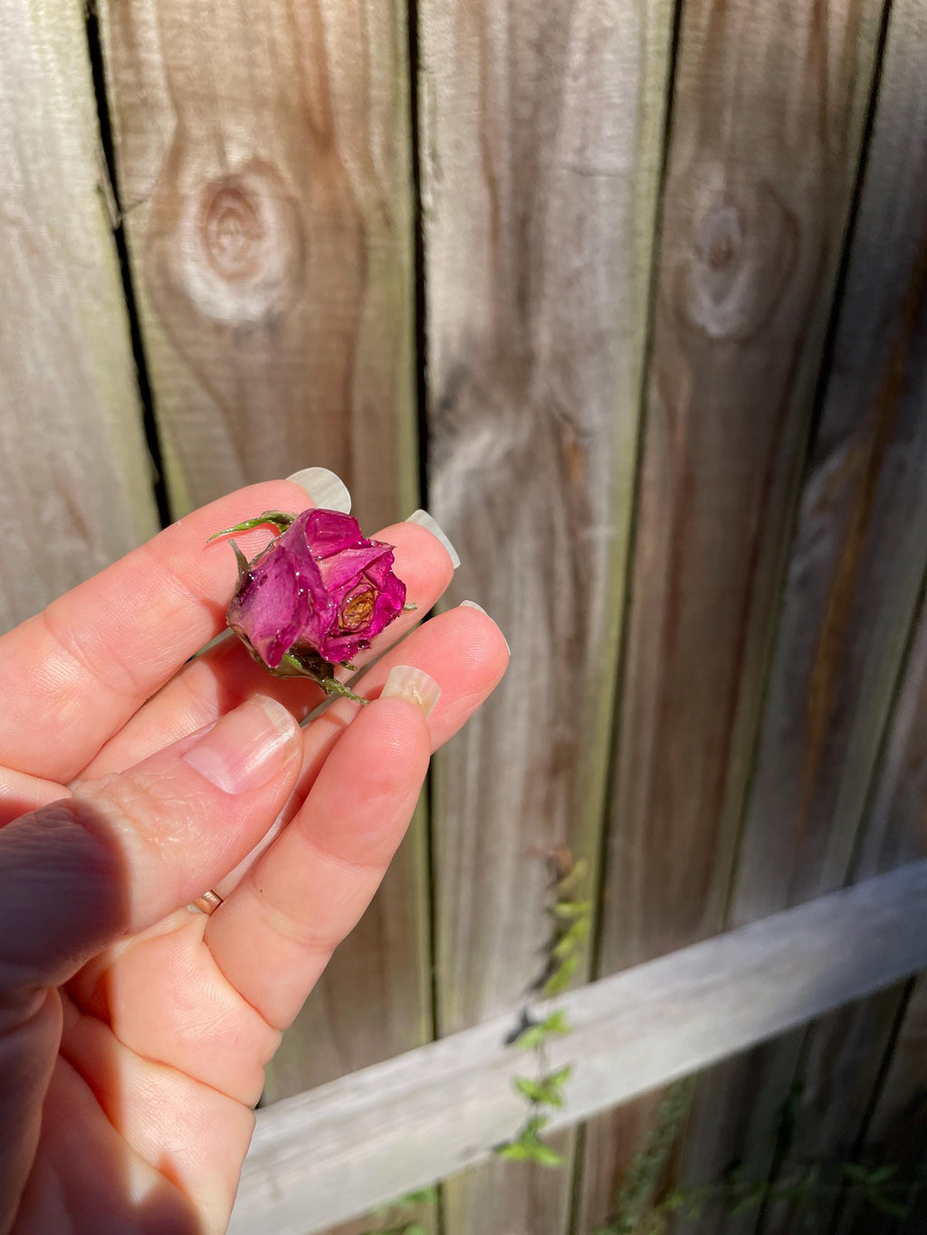 Boho Wrap Leather Choker Necklace with Real Rose Flower - Custom Bridesmaid Jewelry for Women