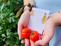 Real Leaf Resin Earrings: Dainty Gold Nature Jewelry