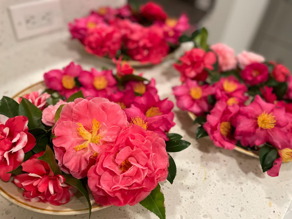 Real Camellia Flower Earrings | Unique Magenta Floral Jewelry for Pierced & Non-Pierced Ears