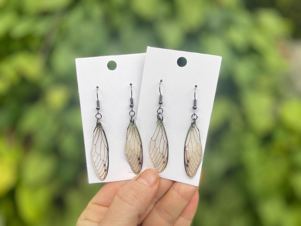 Real Cicada Wing Earrings Gold or Silver: Birthstone Personalized Insect Animal Jewelry Resin