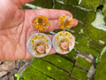 Taylor Swift Earrings: Real Sunflower August Birth Flower Jewelry