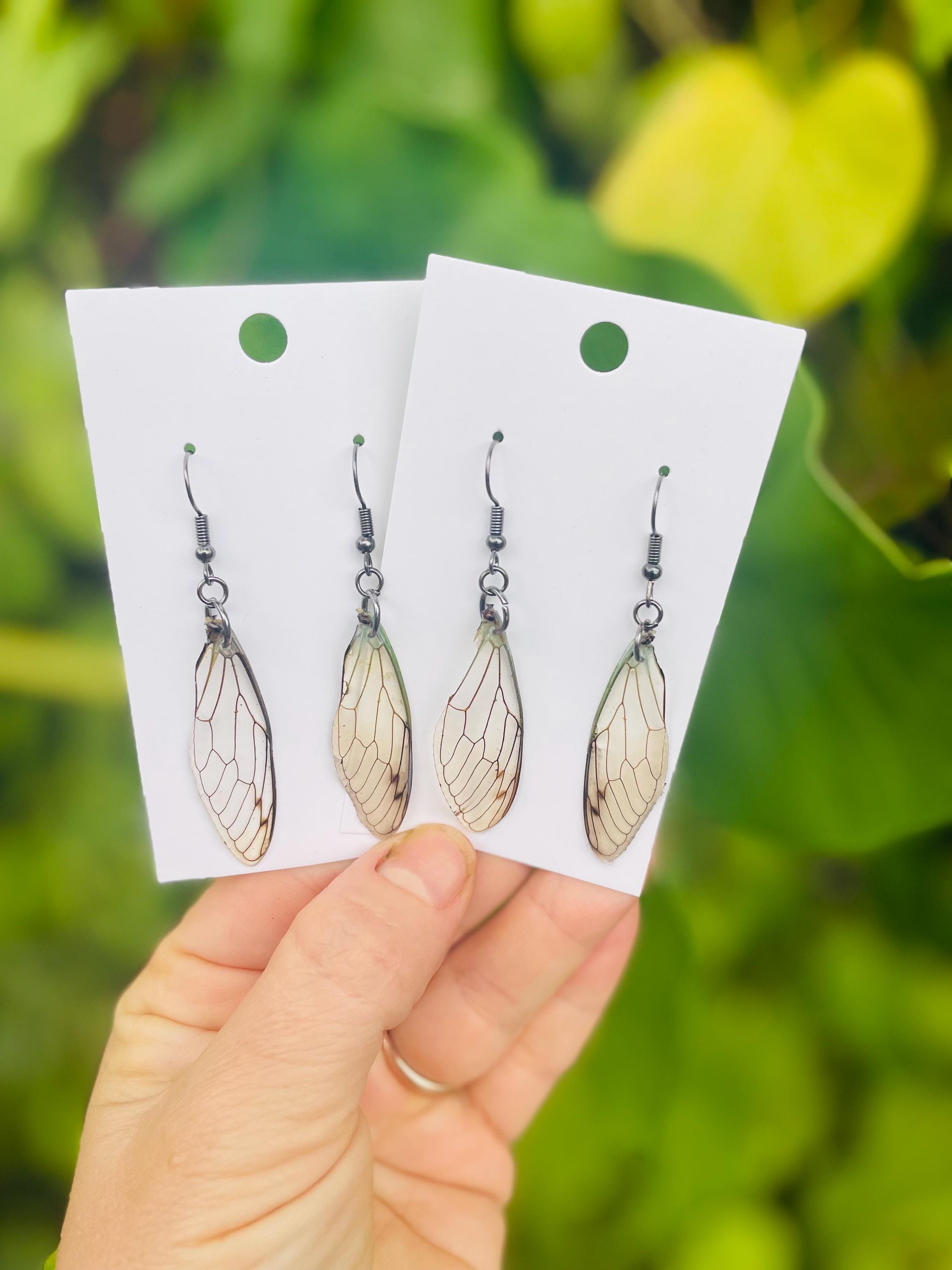 Real Cicada Wing Earrings Gold or Silver: Birthstone Personalized Insect Animal Jewelry Resin