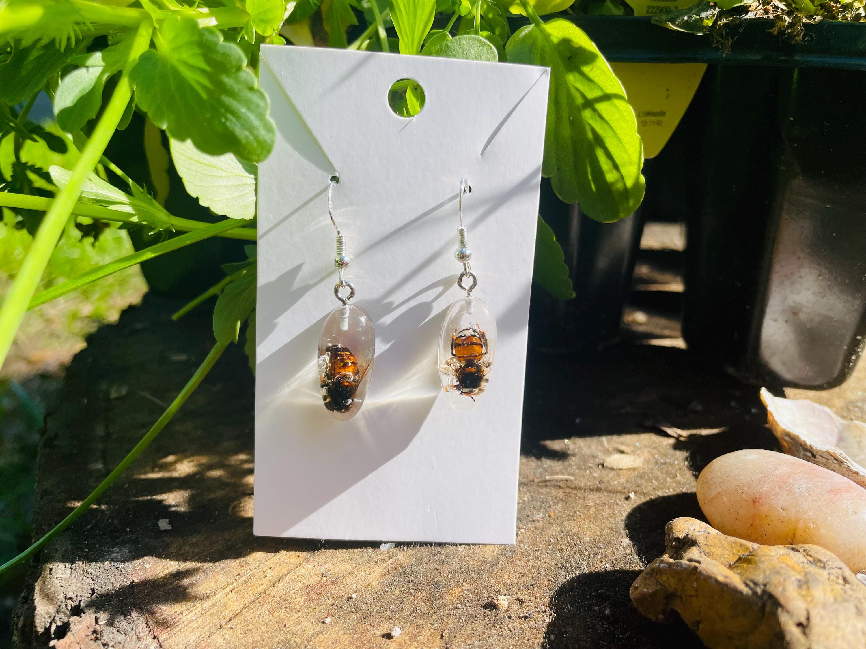Real Bee Mens Dangle Earrings Resin: Minimalist Insect Jewelry Gift for him Ethically Preserved