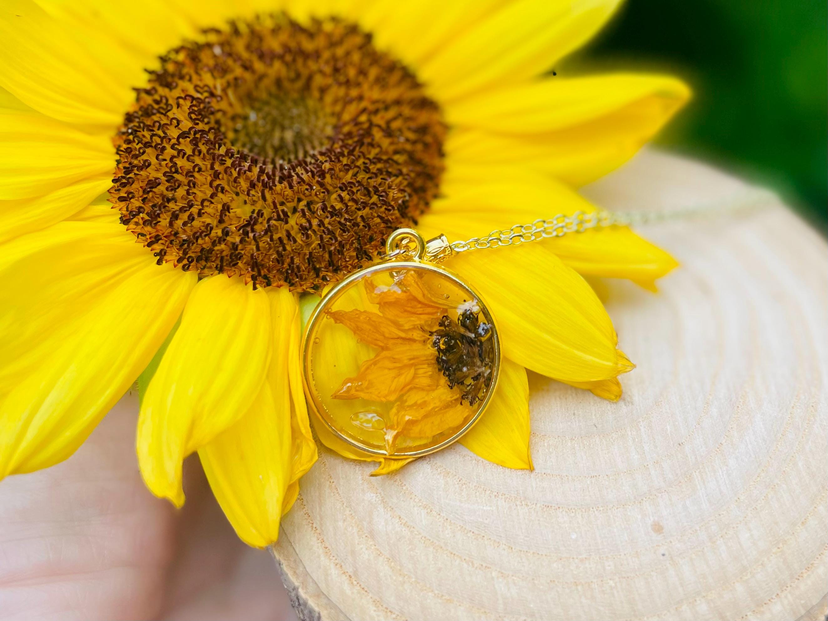 Real Sunflower necklace Sunflower necklace for women, Sunflower jewelry Pressed Flower Necklace Sunflower gifts Sunflowers Sunflower pendant