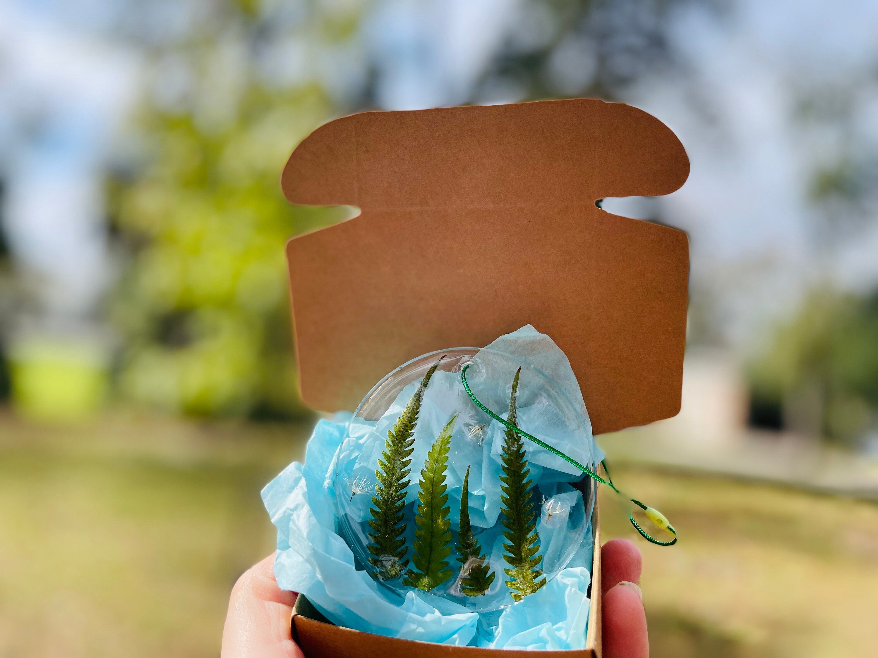 Personalized Real Mushroom Family Sun Catcher Christmas ornaments Woodland Mushroom Ornament Unique Holiday gift Baby shower Forest ornament