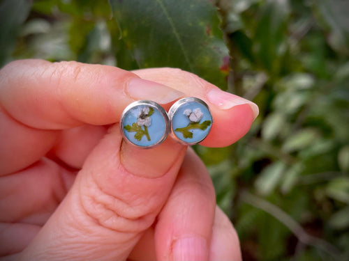 Aquamarine Blue Titanium Posts with Real Pressed Flowers: Tiny Floral Studs
