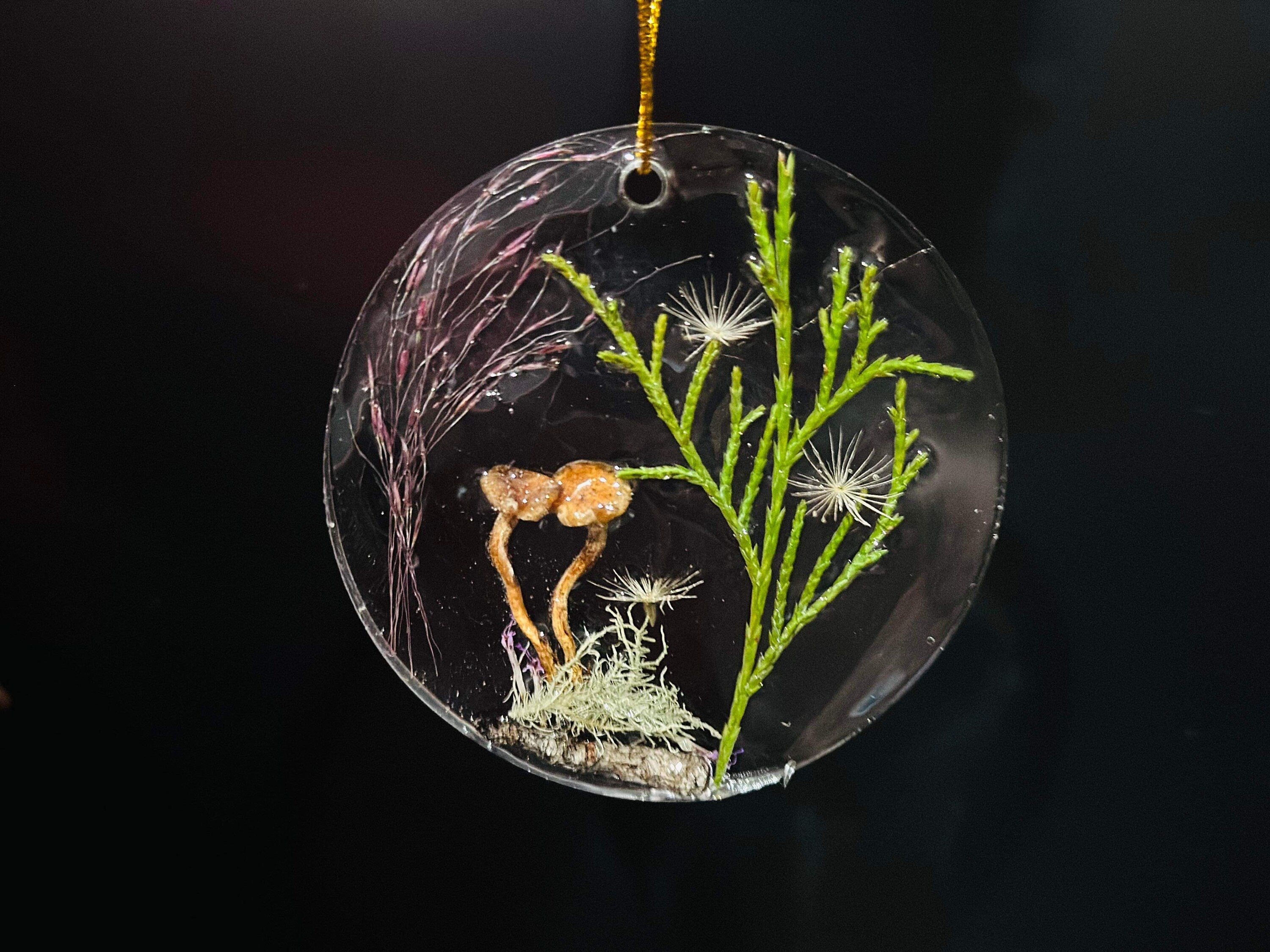 Personalized Real Mushroom Family Sun Catcher Christmas ornaments Woodland Mushroom Ornament Unique Holiday gift Baby shower Forest ornament