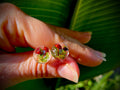 Men's Unique Stud Earrings: Hypoallergenic Real Mushroom Fern with Birthstone, Nature-Inspired Valentines gift