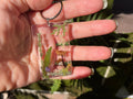 Handcrafted Resin Keychain: Real Mushrooms, Ferns, Flowers - Personalized Botanical Keyring