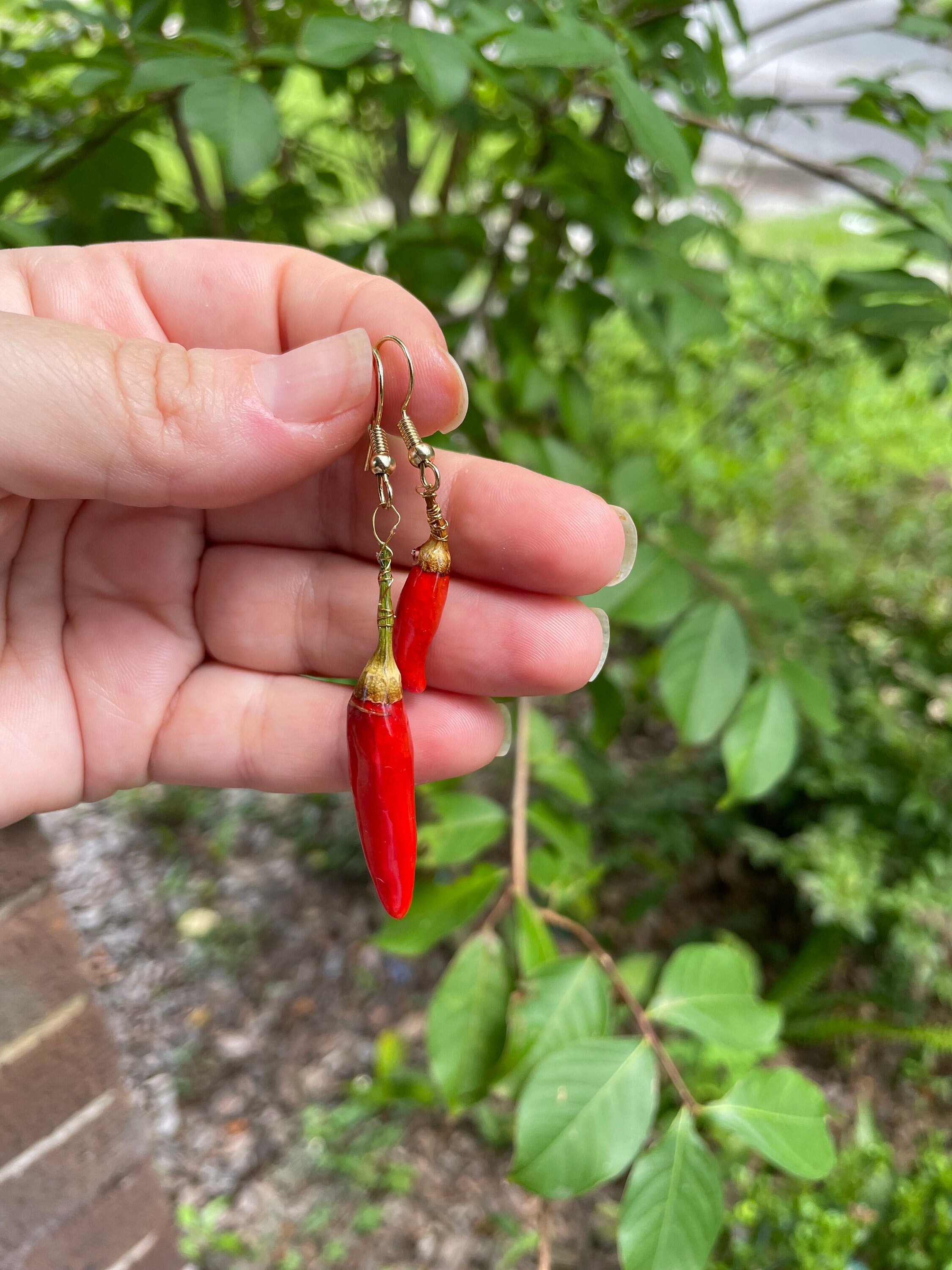 Real Dried Chili Pepper Resin Earrings: Funky Gothic Dangle Earrings