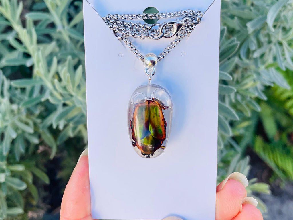 Real Green Chafer Beetle Pendant | Witchy Insect Necklace | Ethically Sourced Specimen Jewelry for him