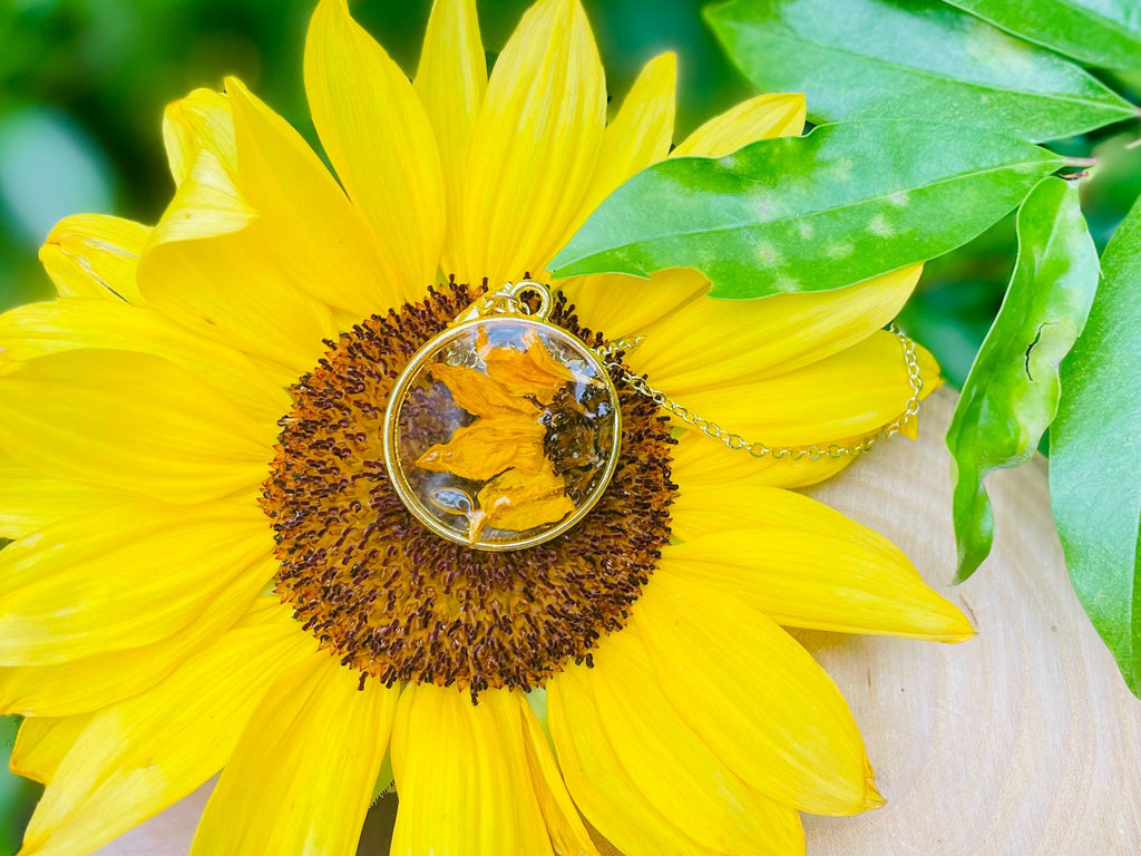 Real Sunflower necklace Sunflower necklace for women, Sunflower jewelry Pressed Flower Necklace Sunflower gifts Sunflowers Sunflower pendant
