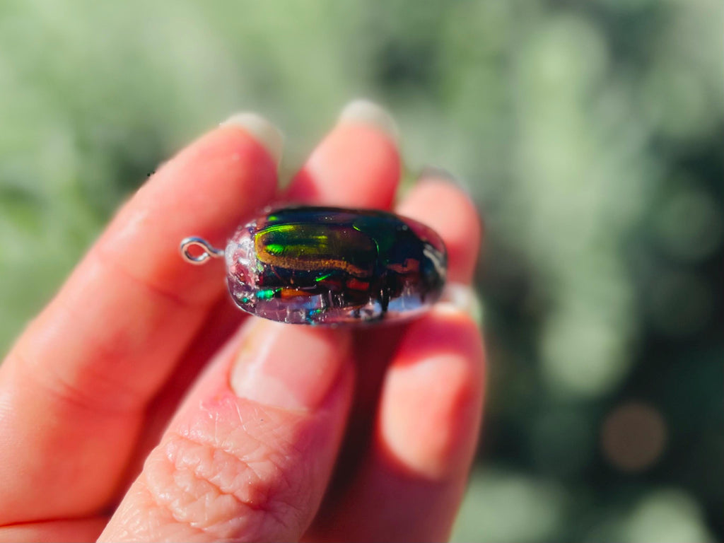 Real Green Chafer Beetle Pendant | Witchy Insect Necklace | Ethically Sourced Specimen Jewelry for him