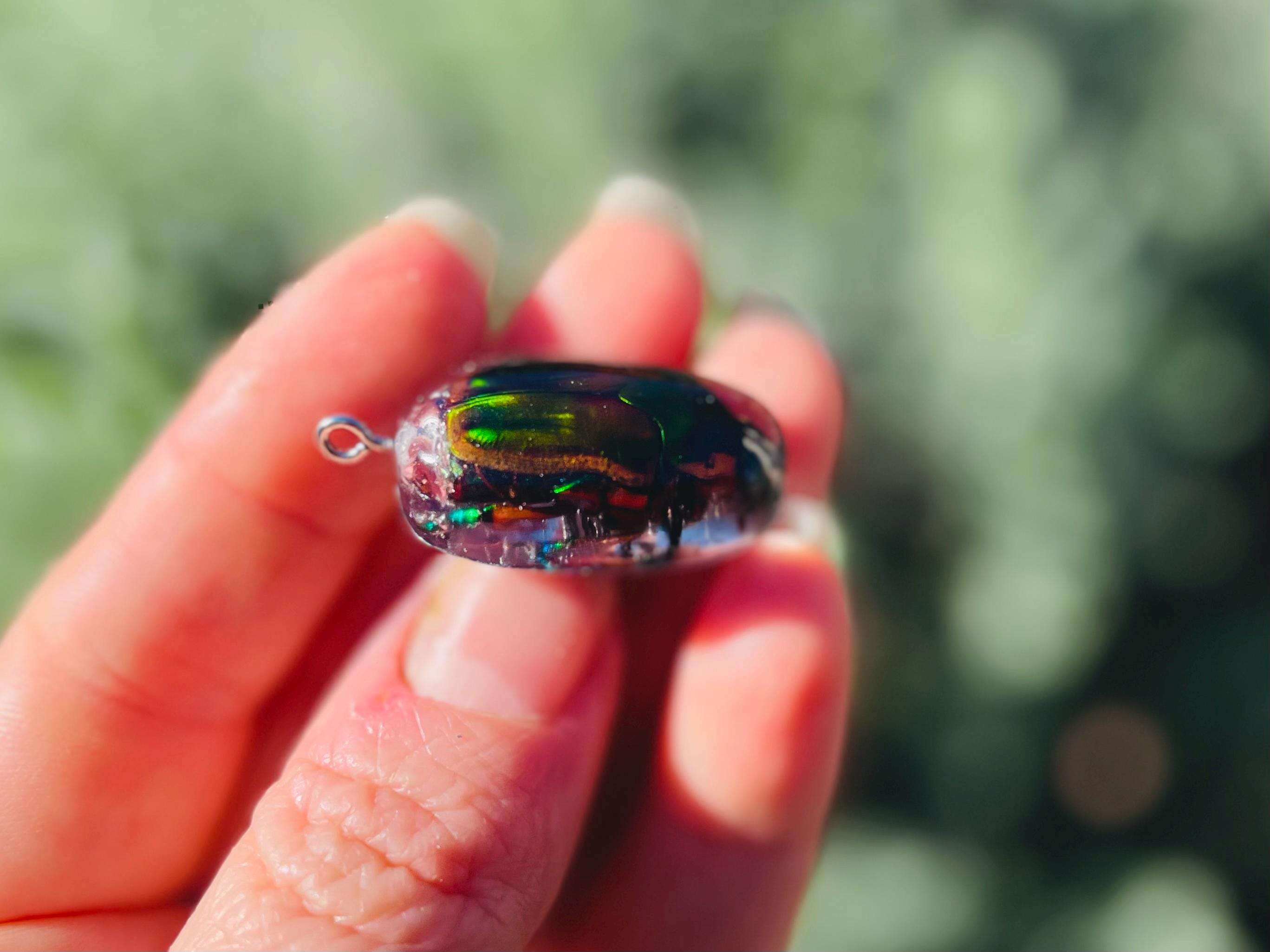 Real Green Chafer Beetle Pendant | Witchy Insect Necklace | Ethically Sourced Specimen Jewelry for him