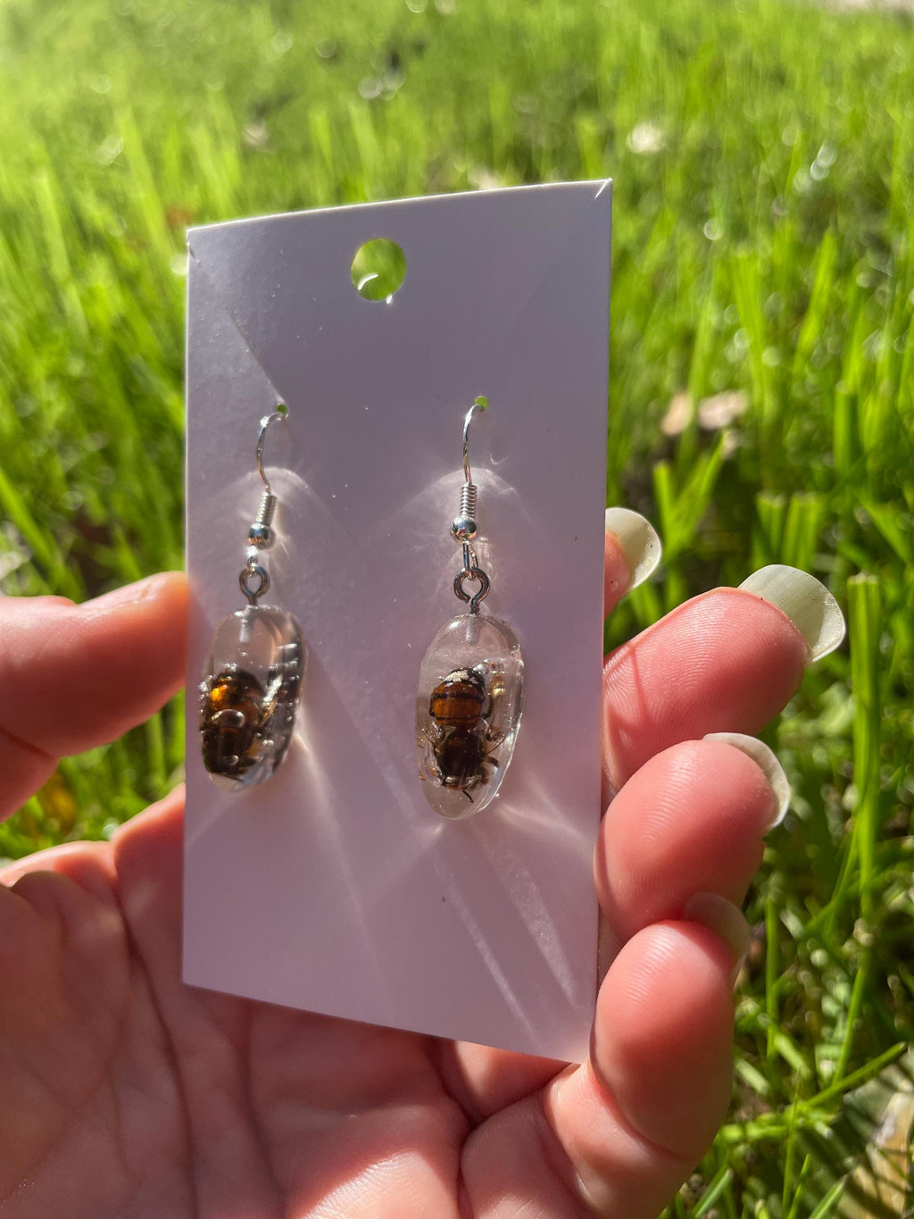Real Bee Mens Dangle Earrings Resin: Minimalist Insect Jewelry Gift for him Ethically Preserved