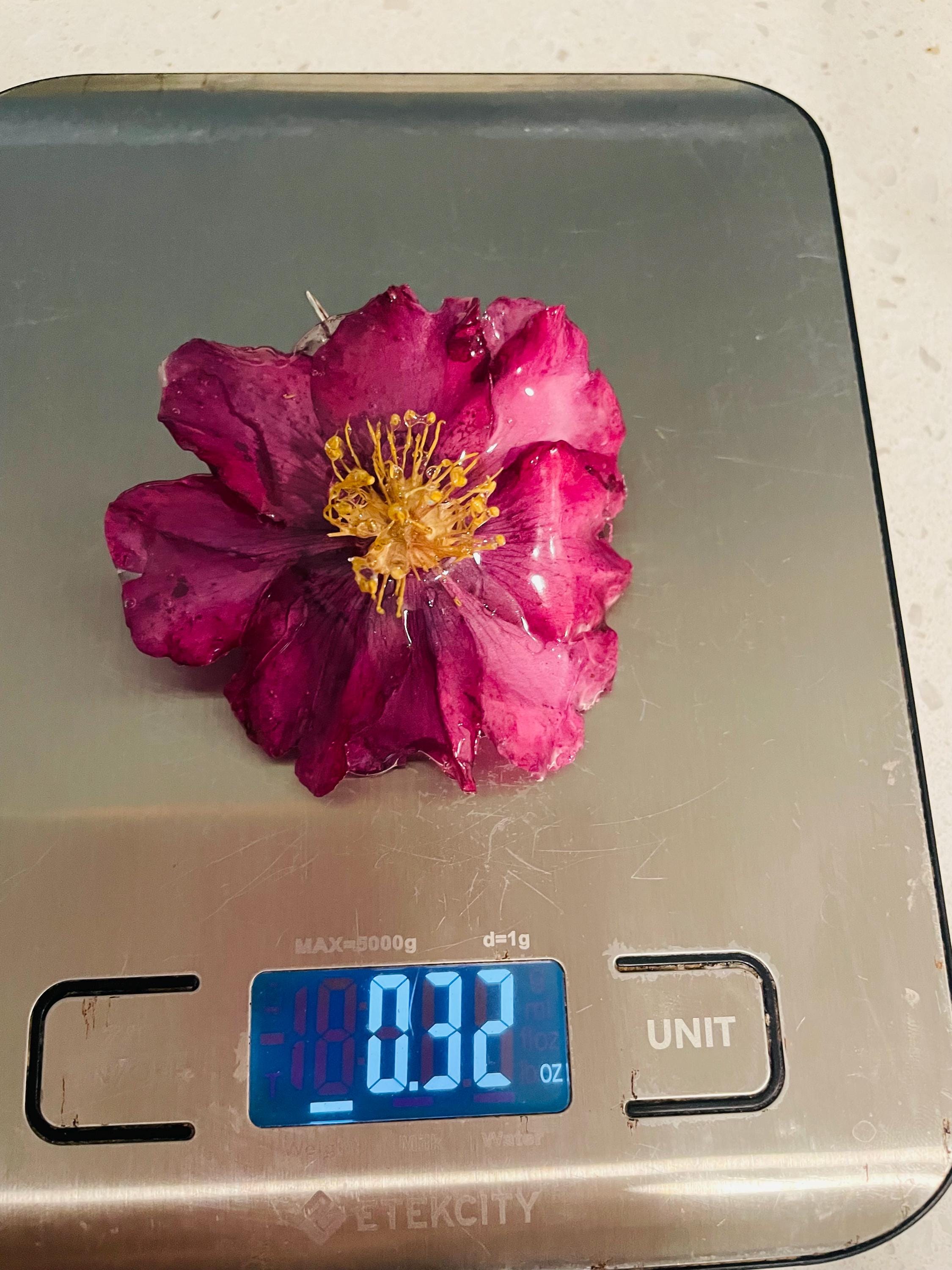 Real Camellia Flower Earrings | Unique Magenta Floral Jewelry for Pierced & Non-Pierced Ears
