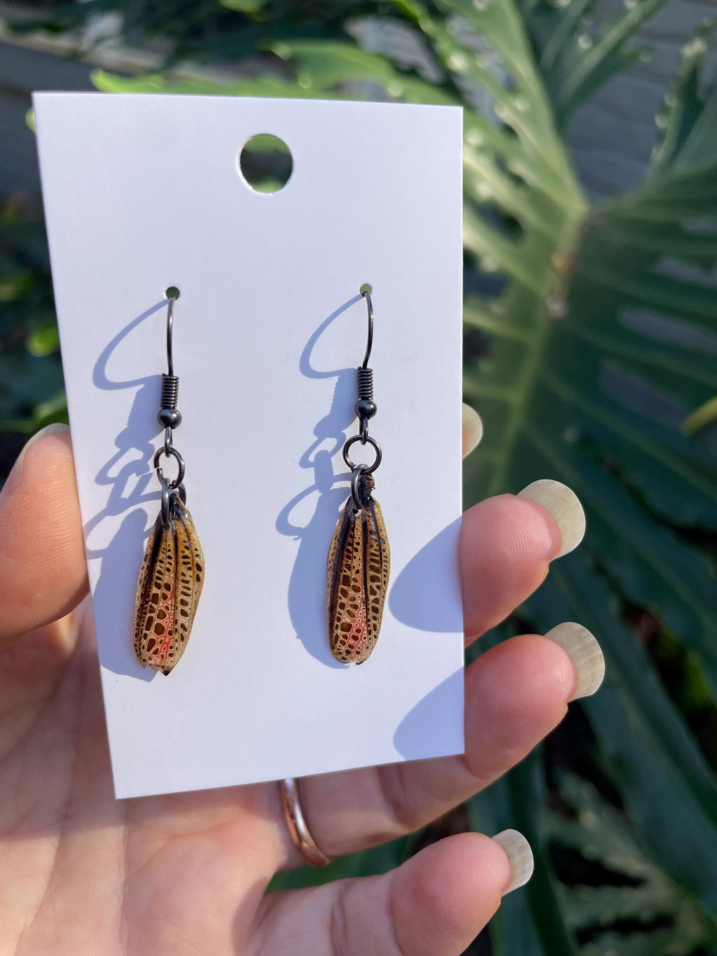 Real Cicada Wing Earrings Gold or Silver: Birthstone Personalized Insect Animal Jewelry Resin
