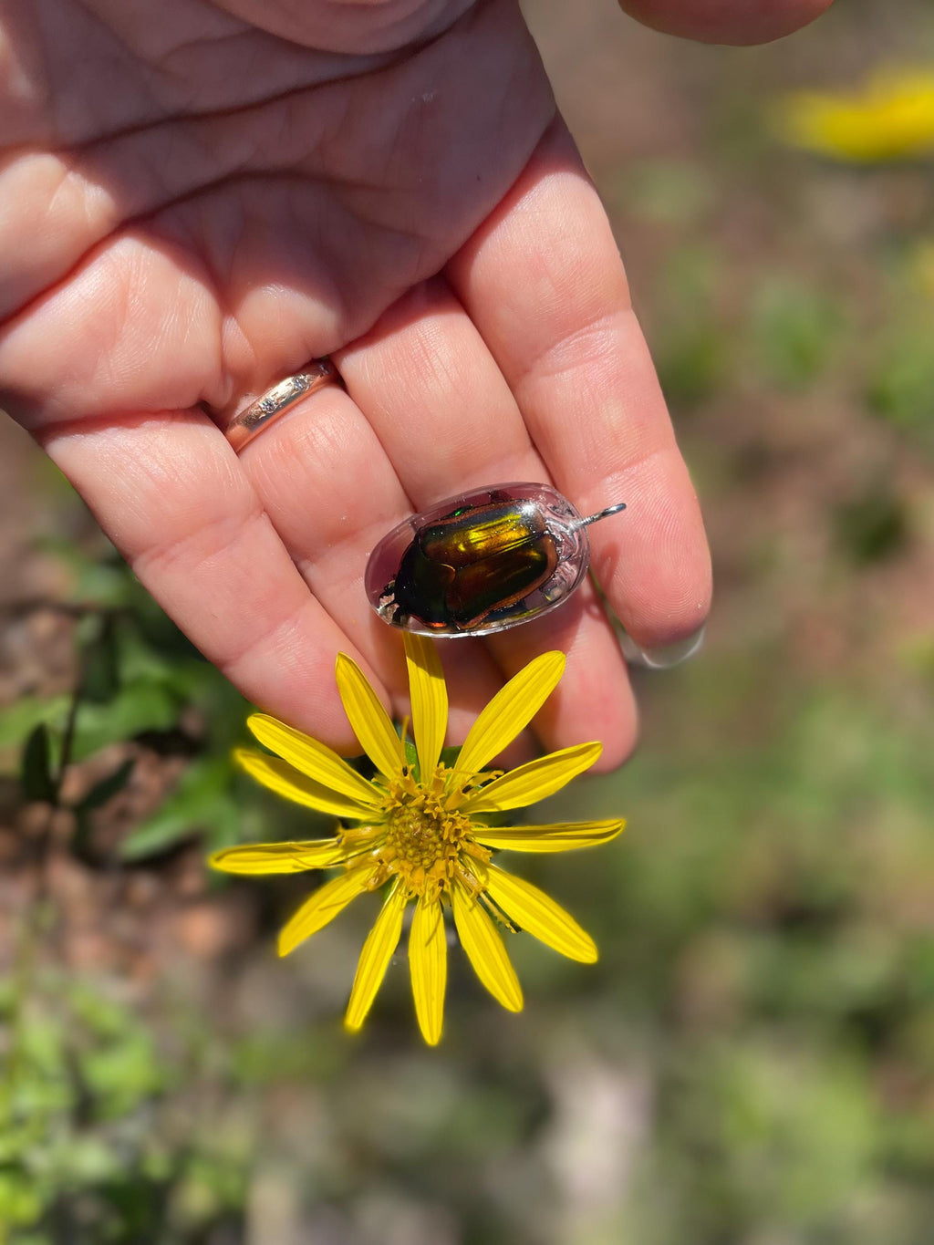 Real Green Chafer Beetle Pendant | Witchy Insect Necklace | Ethically Sourced Specimen Jewelry for him