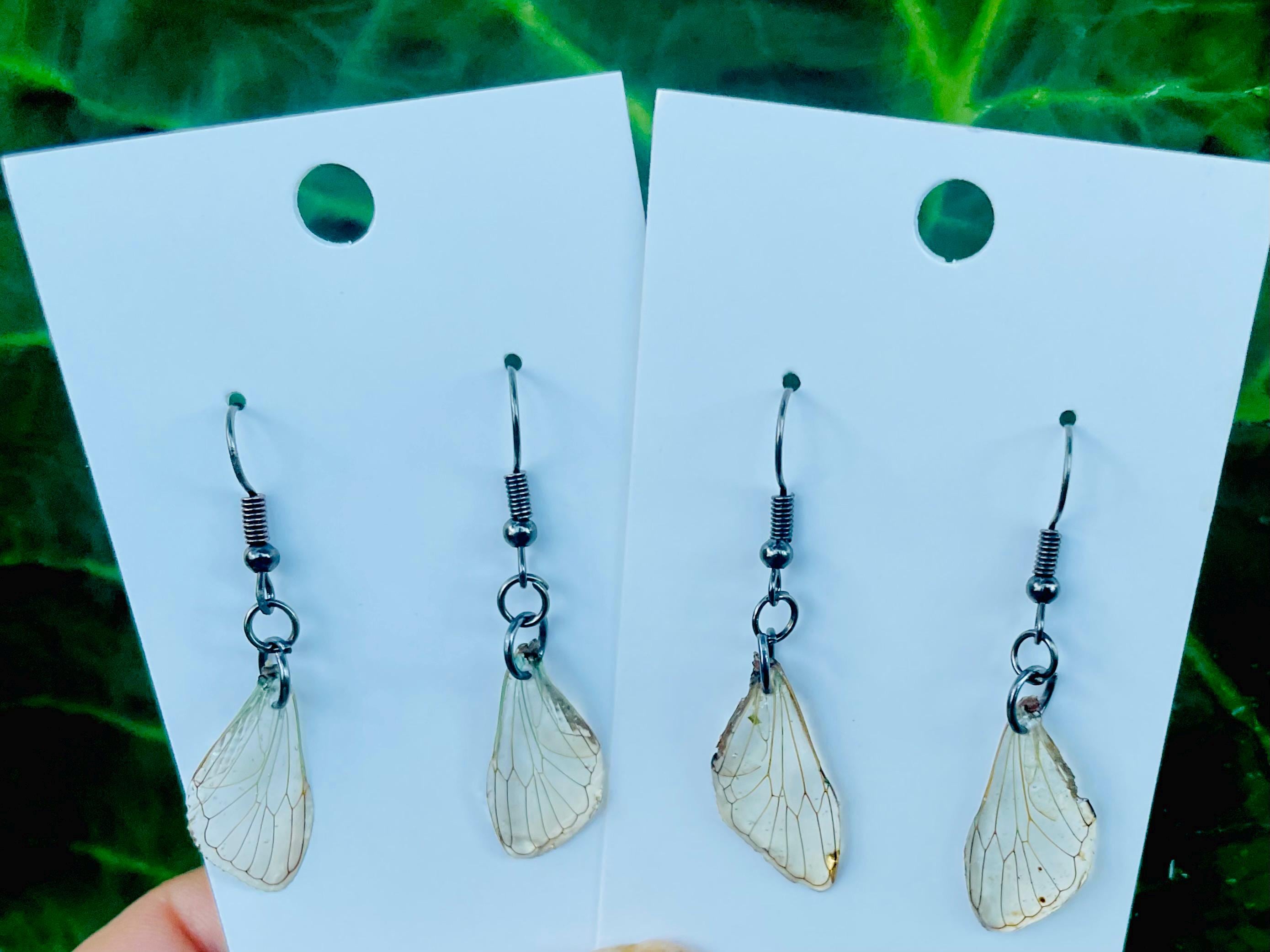 Real Cicada Wing Earrings Gold or Silver: Birthstone Personalized Insect Animal Jewelry Resin