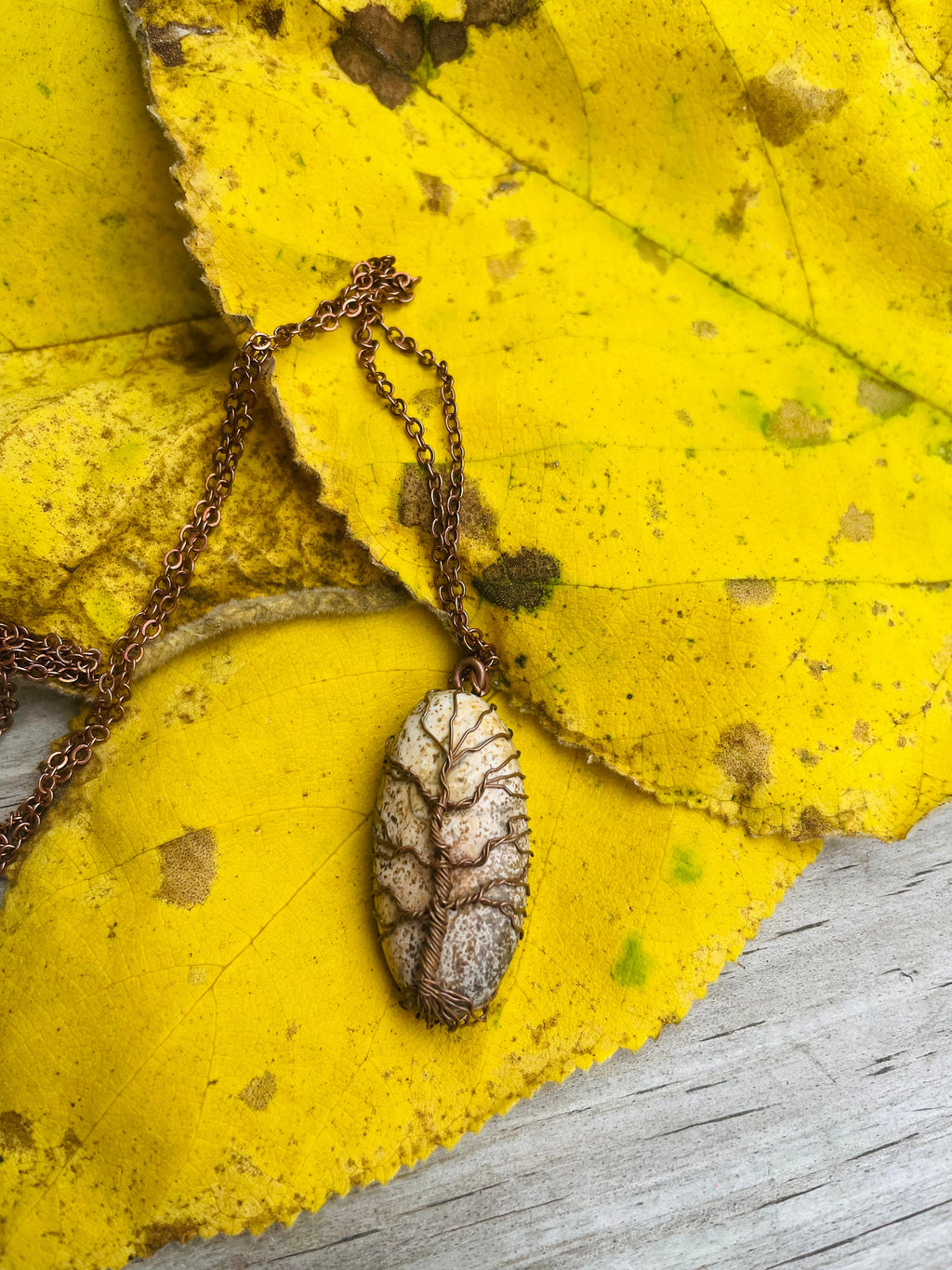 Dainty Copper Wire Wrapped Tree of Life Pendant Oval - Unique Picture Jasper Necklace for Men & Women