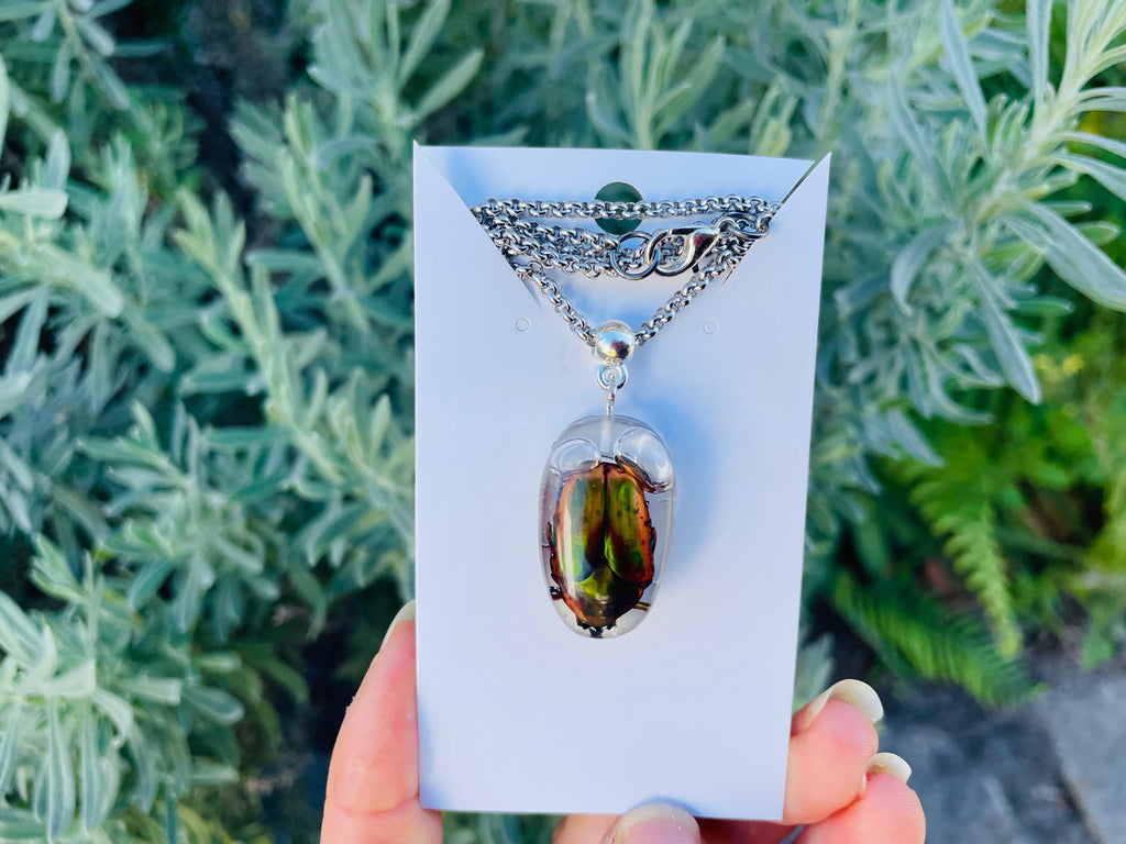 Real Green Chafer Beetle Pendant | Witchy Insect Necklace | Ethically Sourced Specimen Jewelry for him