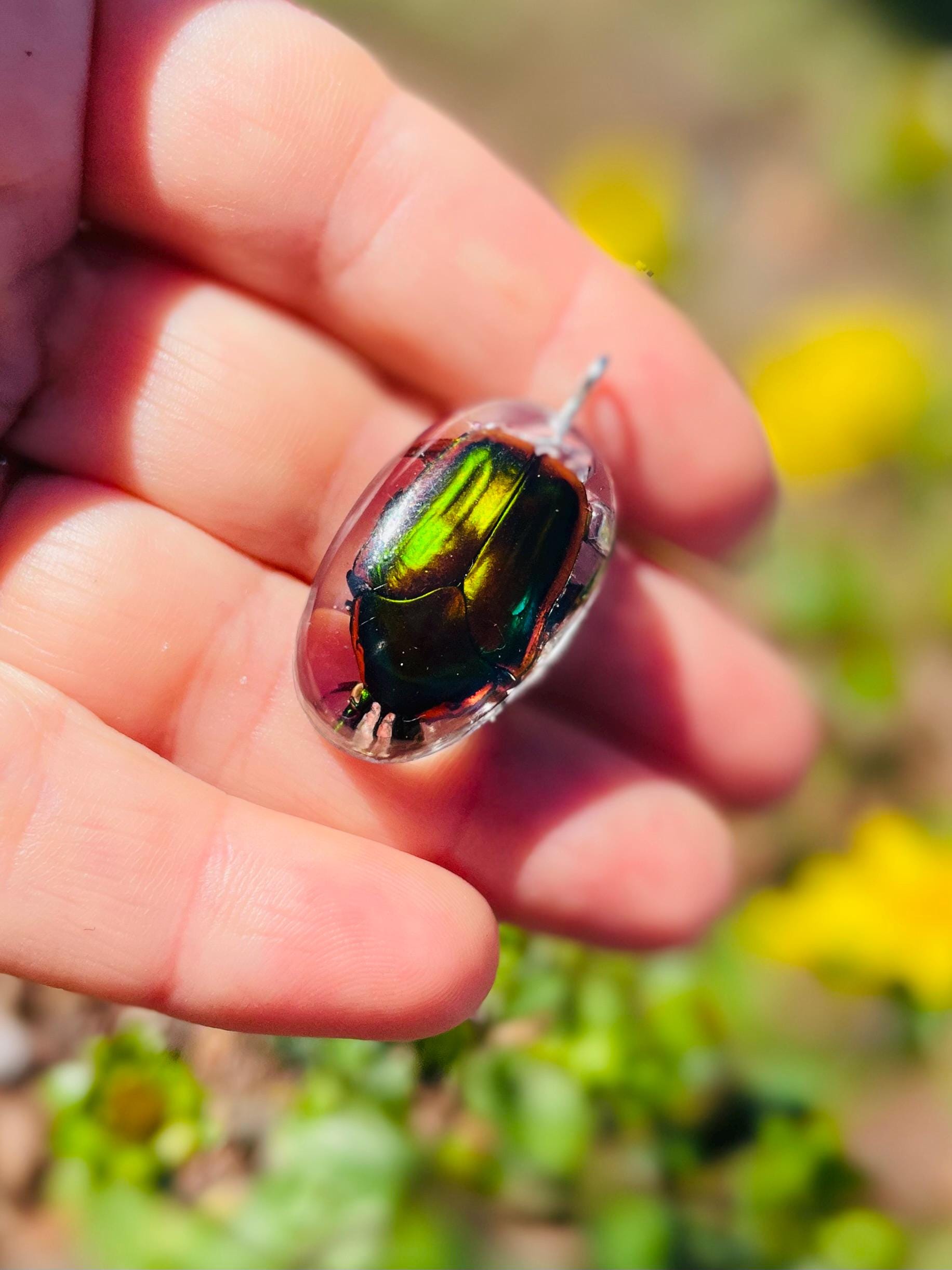 Real Green Chafer Beetle Pendant | Witchy Insect Necklace | Ethically Sourced Specimen Jewelry for him
