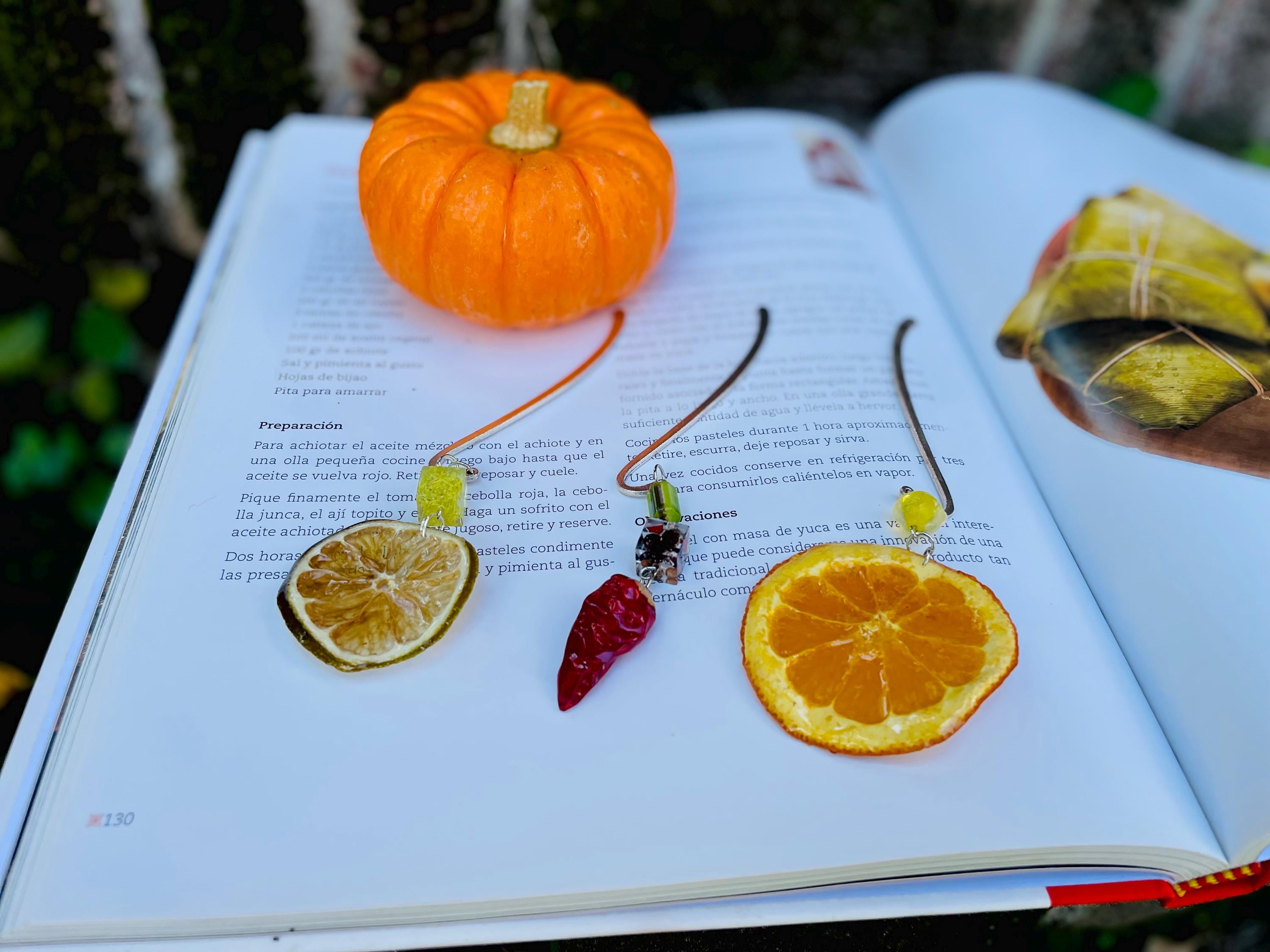 Dried Chili Pepper Bookmark: Resin Coated Kitchen Gift for Book Lover