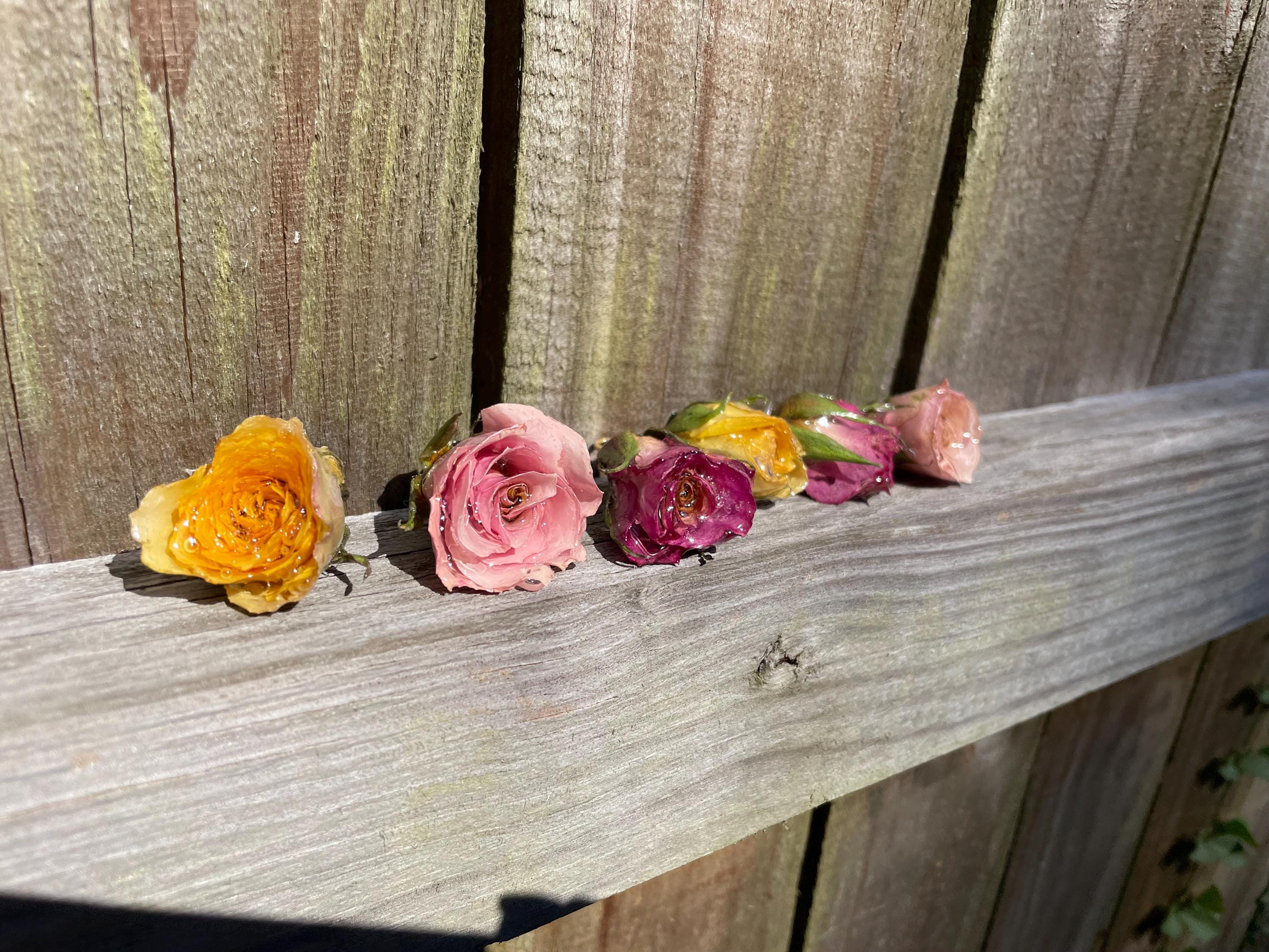 Boho Wrap Leather Choker Necklace with Real Rose Flower - Custom Bridesmaid Jewelry for Women
